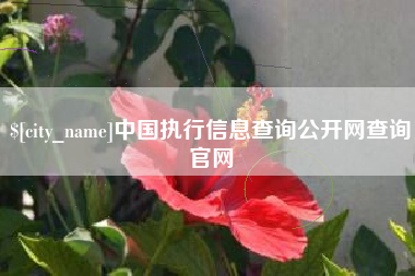 黔东中国执行信息查询公开网查询官网