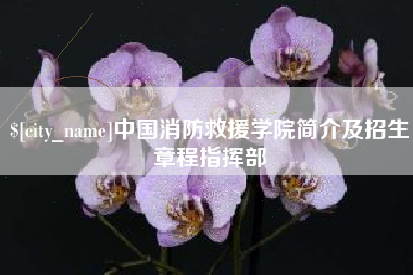 黔东中国消防救援学院简介及招生章程指挥部