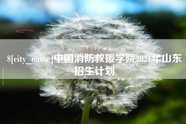 黔东中国消防救援学院2021年山东招生计划