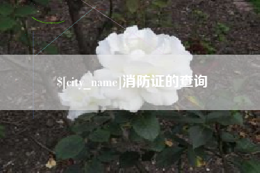 黔东消防证的查询