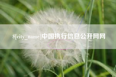 黔东中国执行信息公开网网