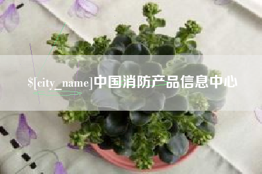 黔东中国消防产品信息中心