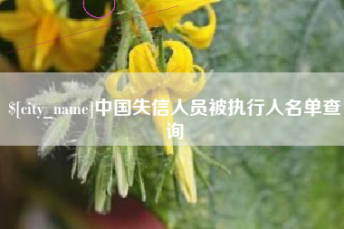 黔东中国失信人员被执行人名单查询