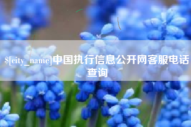 黔东中国执行信息公开网客服电话查询