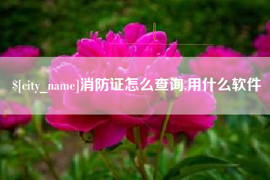 黔东消防证怎么查询,用什么软件