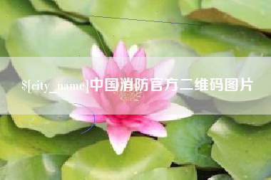 黔东中国消防官方二维码图片