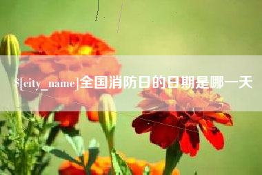 黔东全国消防日的日期是哪一天