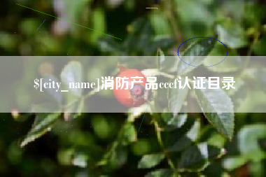 黔东消防产品cccf认证目录