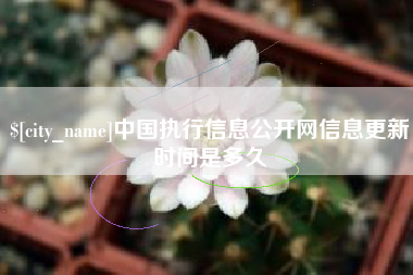 黔东中国执行信息公开网信息更新时间是多久