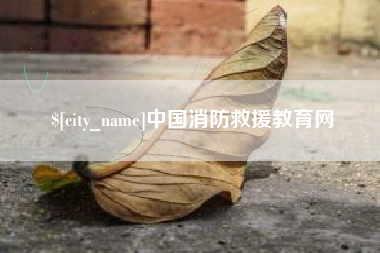 黔东中国消防救援教育网