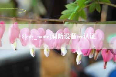 黔东消防设备ccc认证