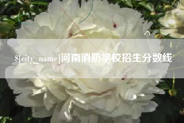 黔东河南消防学校招生分数线