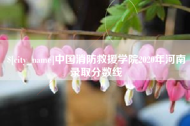 黔东中国消防救援学院2020年河南录取分数线