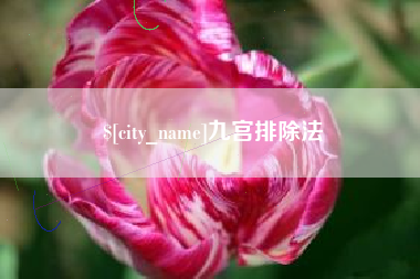 黔东九宫排除法