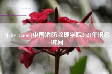 黔东中国消防救援学院2021年报名时间