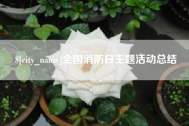 黔东全国消防日主题活动总结