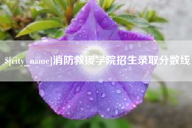 黔东消防救援学院招生录取分数线
