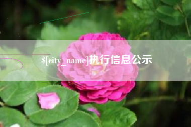 黔东执行信息公示