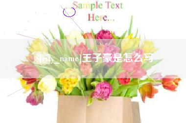 黔东王子豪是怎么写