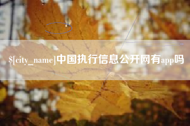 黔东中国执行信息公开网有app吗