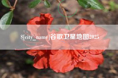 黔东谷歌卫星地图2025