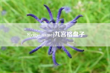 黔东九宫格盘子