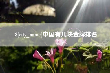 黔东中国有几块金牌排名
