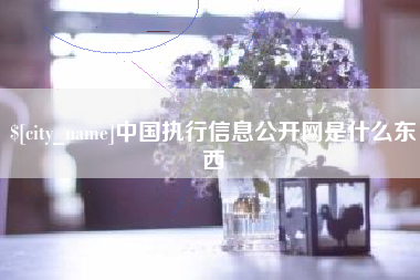 黔东中国执行信息公开网是什么东西