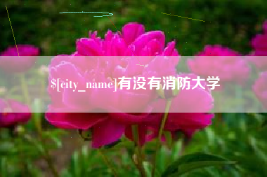 黔东有没有消防大学