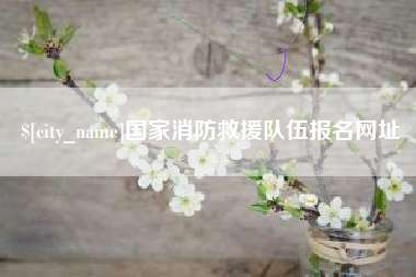 黔东国家消防救援队伍报名网址