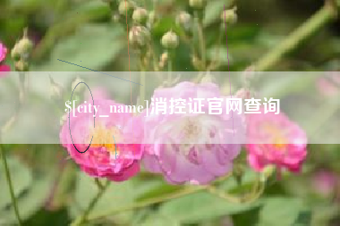 黔东消控证官网查询
