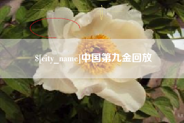 黔东中国第九金回放