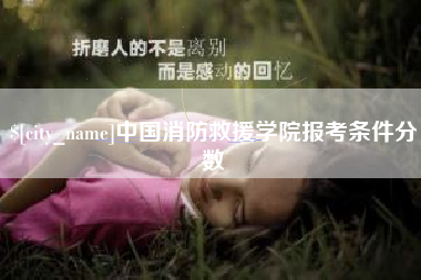 黔东中国消防救援学院报考条件分数