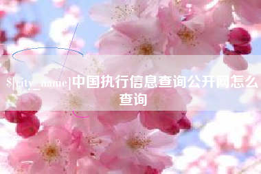 黔东中国执行信息查询公开网怎么查询
