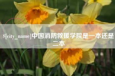 黔东中国消防救援学院是一本还是二本