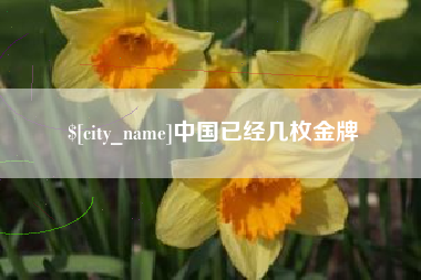 黔东中国已经几枚金牌