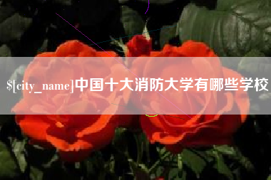 黔东中国十大消防大学有哪些学校