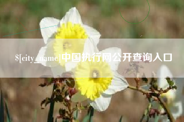 黔东中国执行网公开查询入口