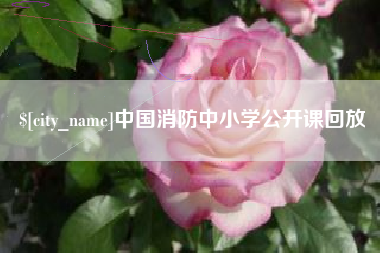 黔东中国消防中小学公开课回放