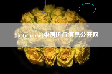 黔东中国执行信息公开网