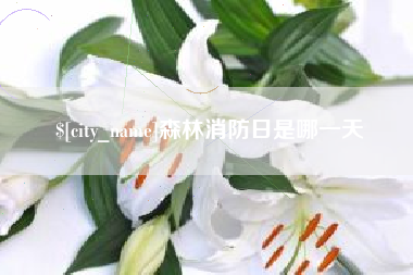 黔东森林消防日是哪一天