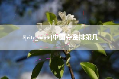 黔东中国夺金排第几