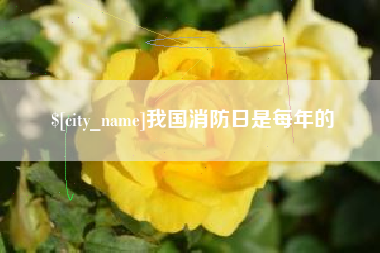黔东我国消防日是每年的