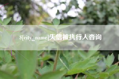 黔东失信被执行人杳询