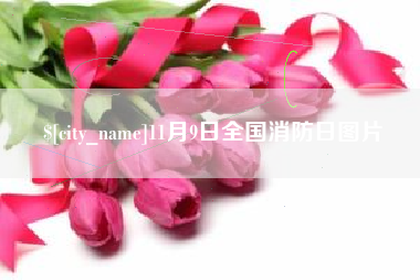 黔东11月9日全国消防日图片