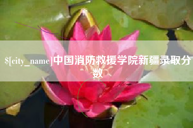 黔东中国消防救援学院新疆录取分数