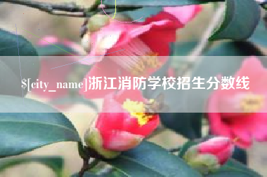 黔东浙江消防学校招生分数线
