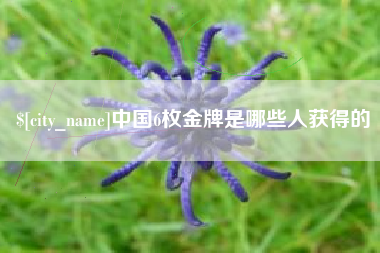 黔东中国6枚金牌是哪些人获得的
