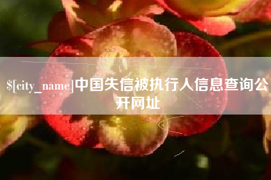 黔东中国失信被执行人信息查询公开网址