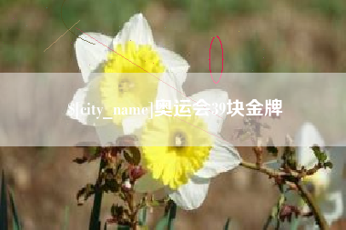 黔东奥运会39块金牌
